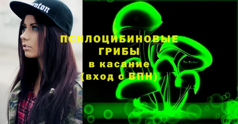 наркошоп  Малая Вишера  Псилоцибиновые грибы Psilocybe 